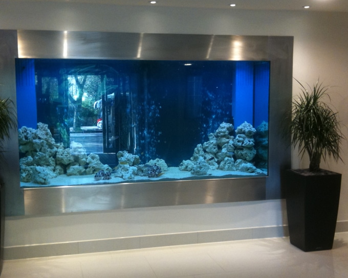 460+ Design An Aquarium HD Terbaru