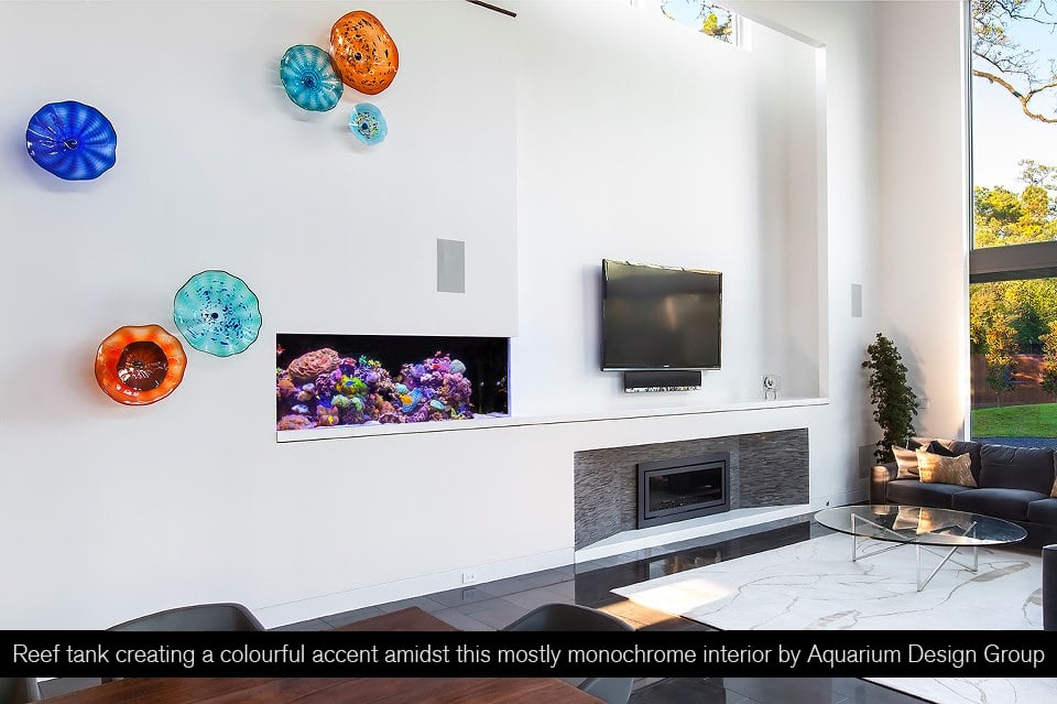 Small Aquariums For Small Spaces Sbid