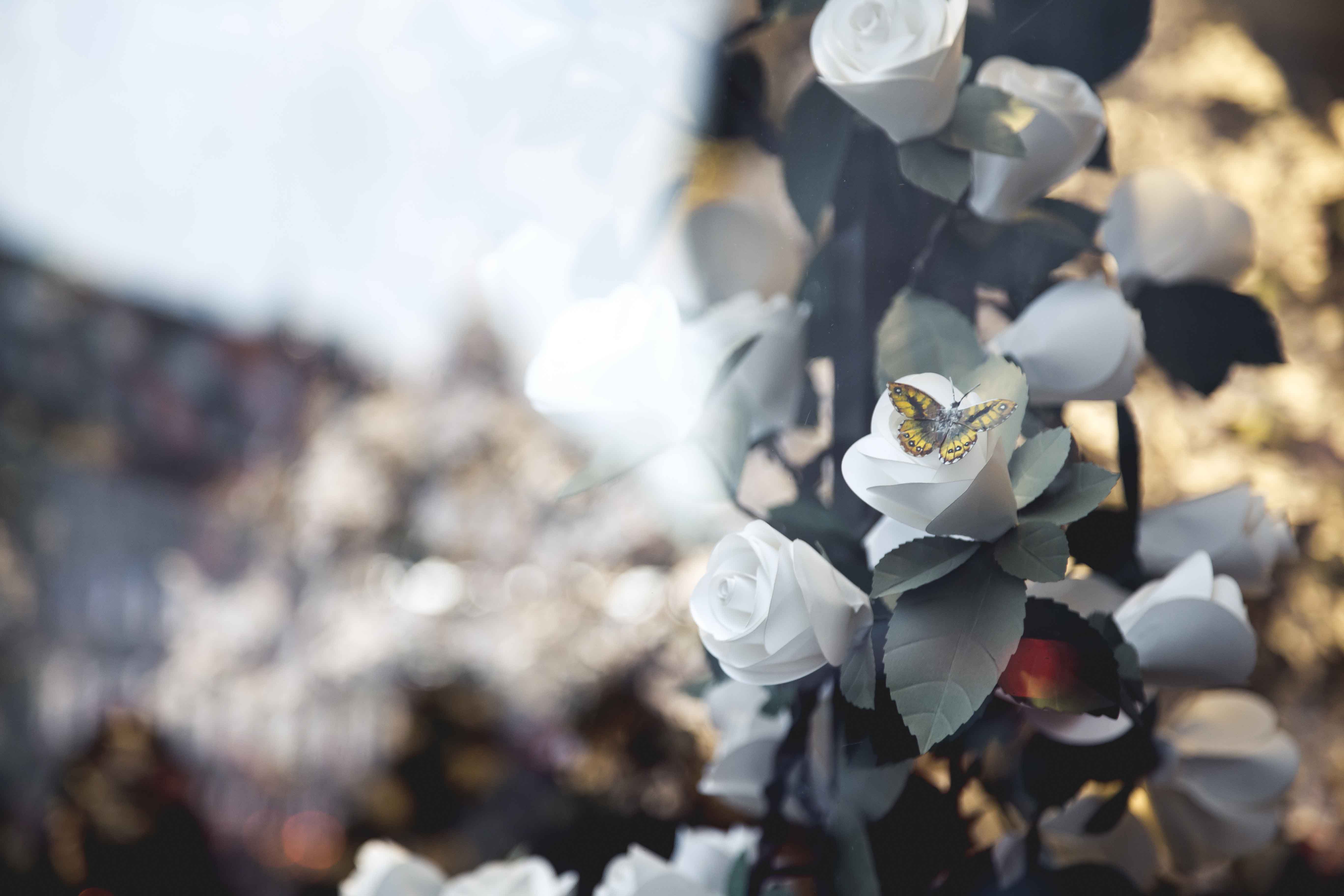 Jo Malone London interior design for visual merchandising of shop window display