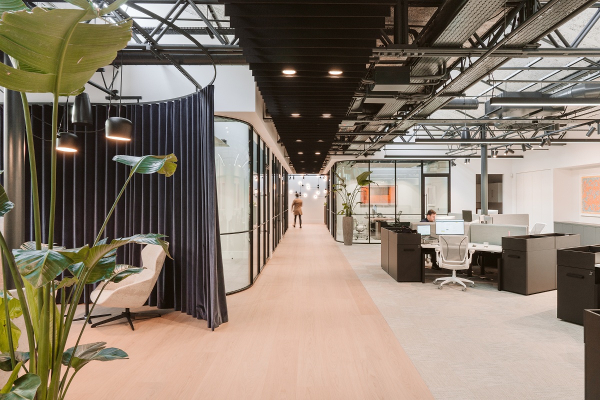 Anomaly, Anomaly: Creating a Sustainable and Neutral Office Design