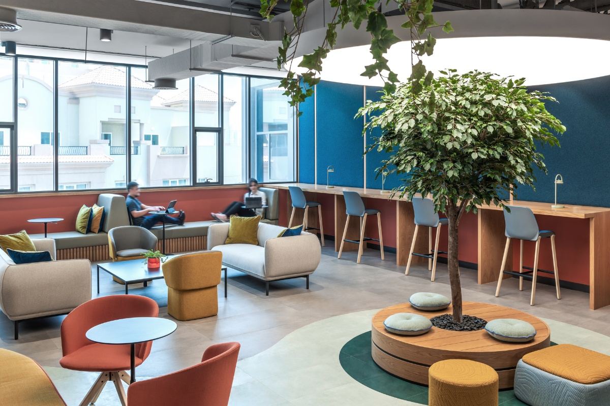 Lulie Fisher Design Studio: Creating a Fun and Engaging Sixth Form Hub